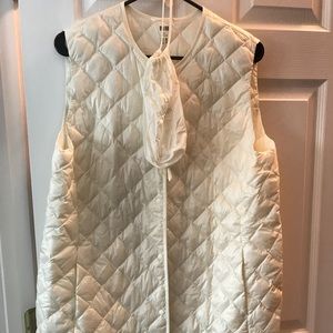 Uniqlo ultra light down vest.